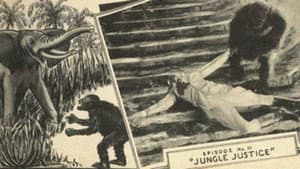 The King of the Kongo — foto 2