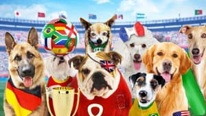 Pups United — foto 1