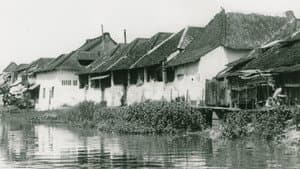 Bland malajer på Sumatra — foto 1