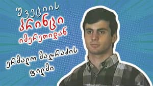 შვეციის პრინცი იმერეთიდან — foto 1