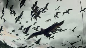 Leviathan — foto 11
