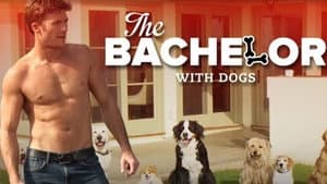 The Bachelor with Dogs and Scott Eastwood — foto 1