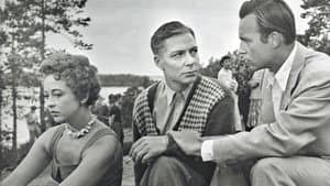 Sininen viikko — foto 1