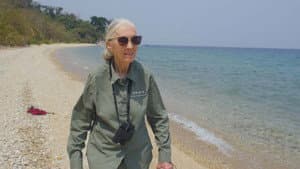 Jane: el legado — foto 2