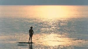Nostos: il ritorno — foto 7