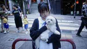 游泳的好日子 — foto 2