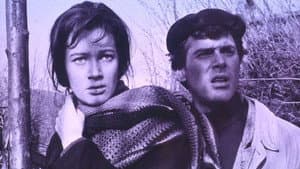 Un giorno da leoni — foto 2