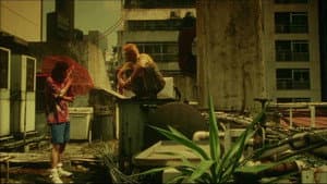 DEAD OR ALIVE 2 逃亡者 — foto 4