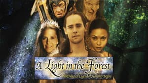 A Light in the Forest — foto 4