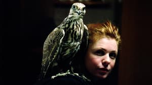 Fálkar — foto 2
