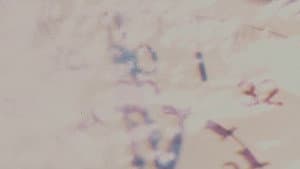Watersmith — foto 2