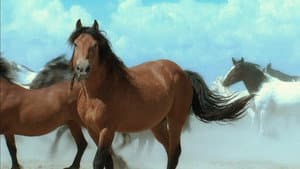 American Mustang — foto 2