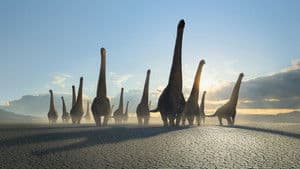 Planeta prehistórico — foto 4