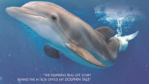 Winter, the Dolphin That Can — foto 1