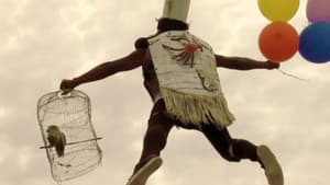 Quijotes Negros — foto 2
