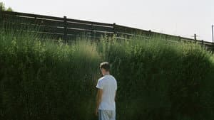 Colmillos — foto 6