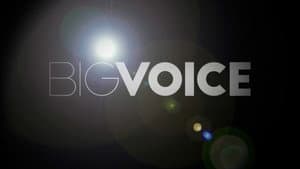 Big Voice — foto 1