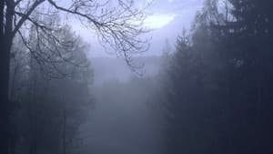 Zvěř — foto 3