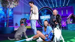 Top Dog Germany – Der beste Hund Deutschlands — foto 2