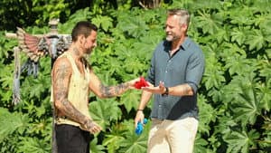 Episodio 8
