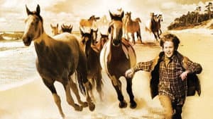 Touching Wild Horses — foto 1