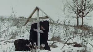 Опознание — foto 1
