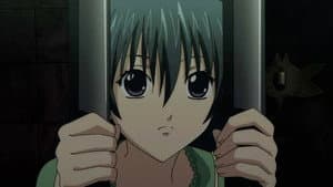 Apoyo - Ryuu