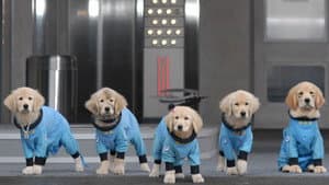 Space Buddies — foto 2