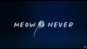 Meow or Never — foto 2