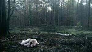 Chaleur humaine — foto 3