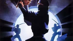 The Ninja Mission — foto 11