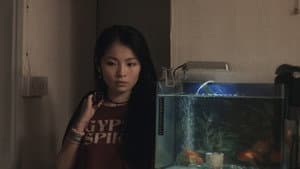 仙人掌 — foto 5