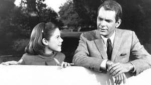 The Horse in the Gray Flannel Suit — foto 12