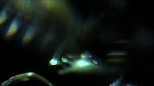 棱镜 — foto 1