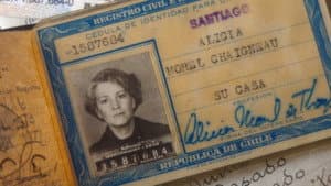 Alicia bajo la higuera — foto 1