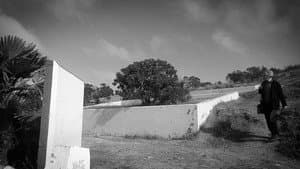 Honoris Causa — foto 1