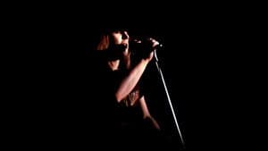 Lynyrd Skynyrd: Live at Winterland 1976 — foto 2