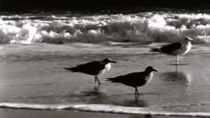 Moods of the Sea — foto 1