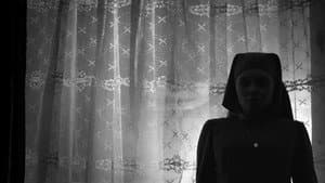 Ida — foto 5
