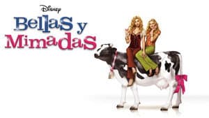 Bellas y Mimadas — foto 6