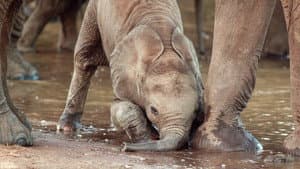 Kenia - Eine Oase im Sand — foto 2