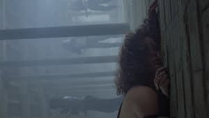 Vestigi — foto 1