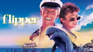 Flipper — foto 1