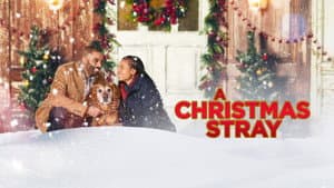A Christmas Stray — foto 3