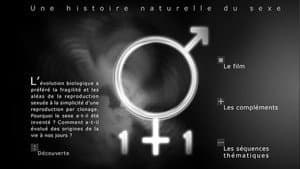 1+1 une histoire naturelle du sexe — foto 1
