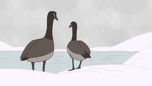 Hudson Geese — foto 2
