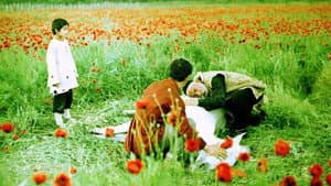 ნატვრის ხე — foto 2