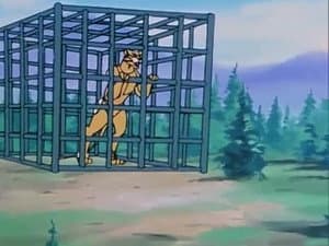 Episodio 24
