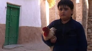 دەردەسەرییەکانی کوڕبوون — foto 1