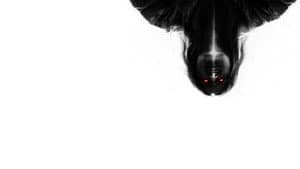 The Exorcists — foto 4